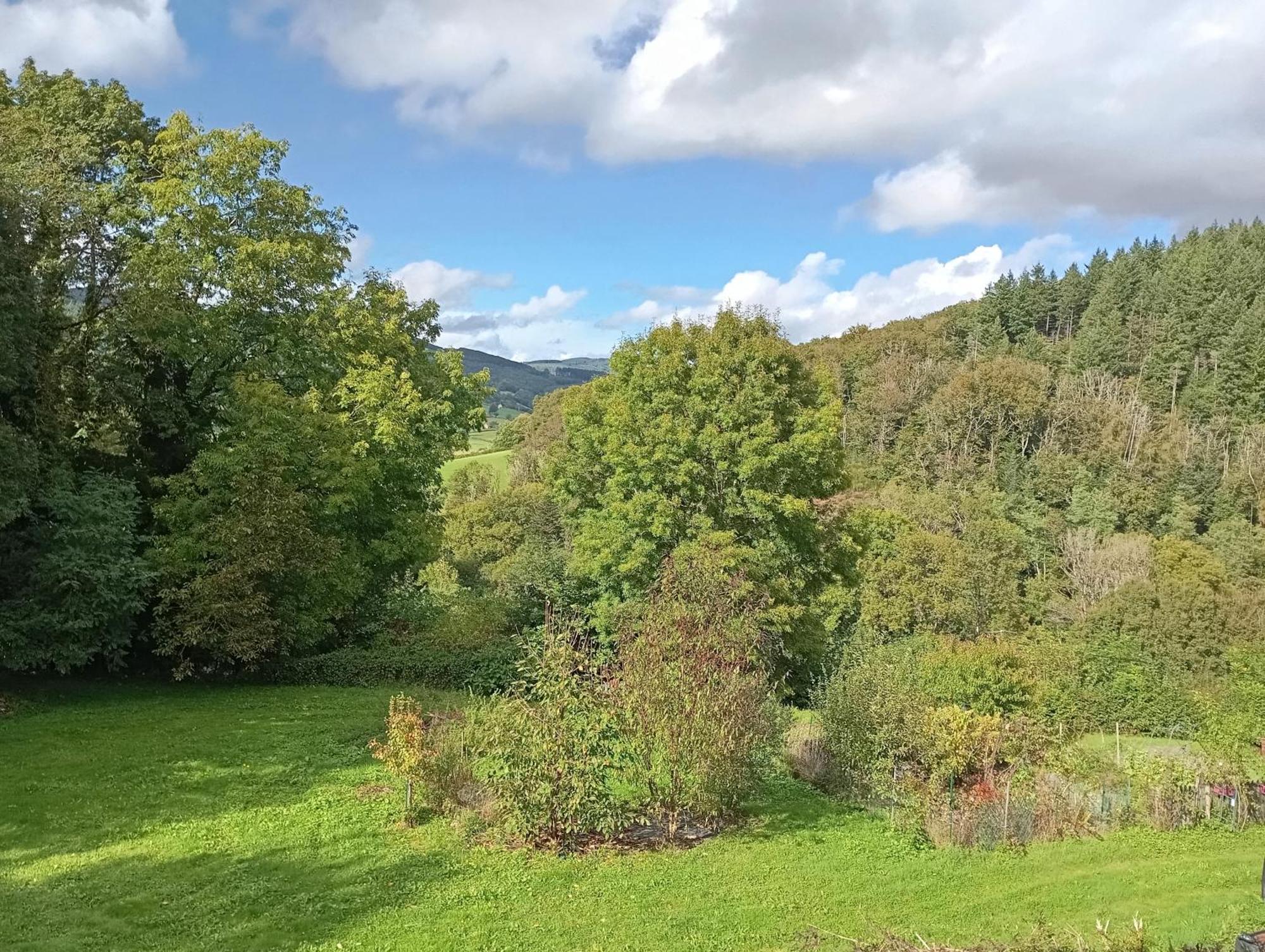 L' Ancienne Ecole Du Morvan Larochemillay Dış mekan fotoğraf